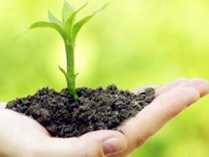 土壤質量 土壤質量