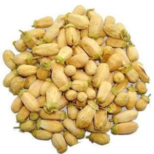 玳玳花茶 玳玳花茶