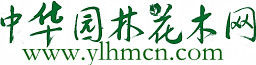 中華園林花木網 中華園林花木網