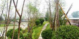 觀湖印象 觀湖印象