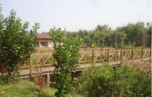 埔田生態農業觀光 埔田生態農業觀光