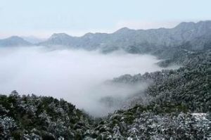 紅茶溝國家森林公園 紅茶溝國家森林公園