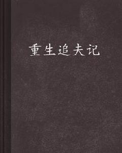 重生追夫記 重生追夫記