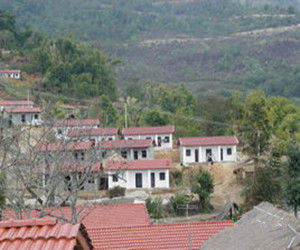 王子樹鄉 王子樹鄉