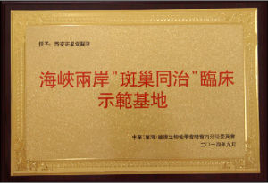 海峽兩岸斑巢同治臨床示範基地