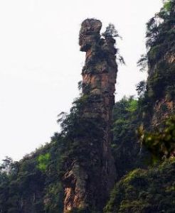 採藥老人 採藥老人