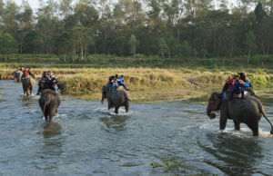 奇特旺國家公園 奇特旺國家公園