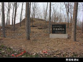 賈堌堆遺址 賈堌堆遺址