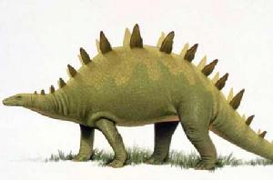 銳龍[恐龍的種類之一]