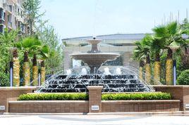 中央華府 中央華府