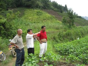 茶兒壠村 茶兒壠村