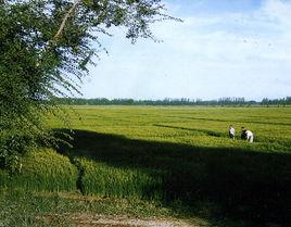 農四師六十八團 農四師六十八團