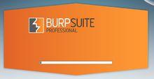 burpsuite