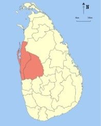 西北省 (斯里蘭卡)