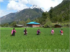 馬克思生產社會化理論