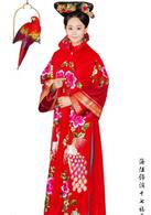 宮鎖珠簾[2012年何晟銘主演電視劇]