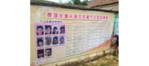 費城（山東省臨沂市費縣費城街道）長官村