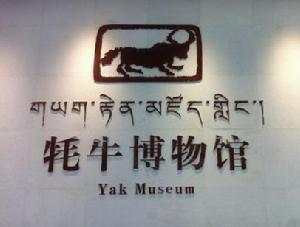 拉薩市文化體育中心