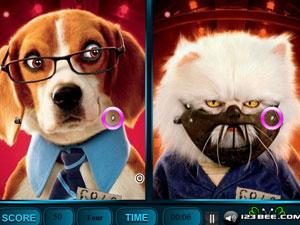 貓狗找相同 貓狗找相同