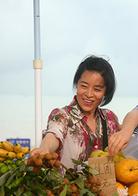 天使艾美麗[2013年狄傑執導電視劇]