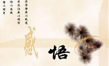 感悟[人類情感]