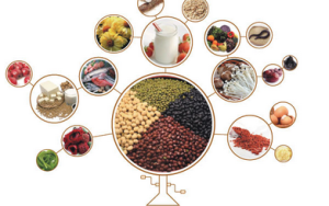 富含營養素的食物