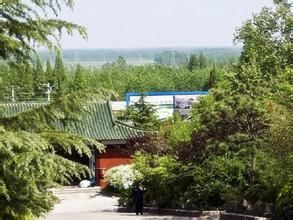 小山頂村 小山頂村