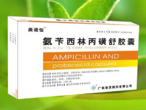 氨苄青黴素丙磺舒膠囊-醫藥百科全書