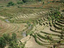 梯田