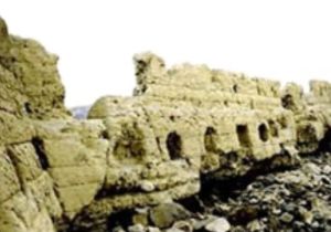 農安古塔遺址 農安古塔遺址