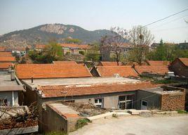 橋東村[廣西南寧市武鳴縣陸斡鎮橋東村]