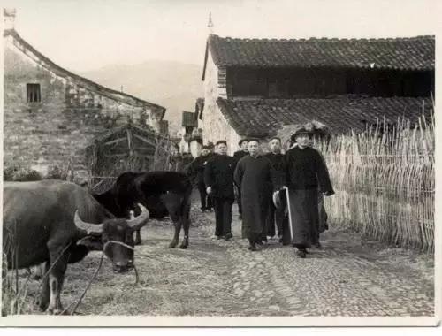 網路配圖 網路配圖