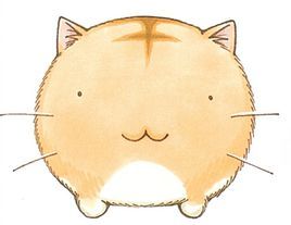 《嘟嘟貓觀察日記》