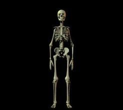 廣東人吃人事件 廣東人吃人事件