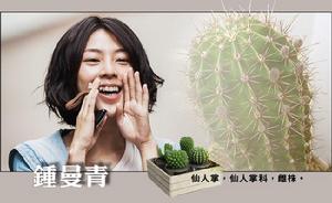 鍾曼青-林辰唏飾