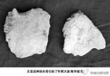 “女媧遺骨”照片