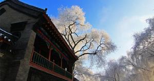 牡丹江寧安望江樓