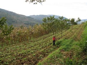 下莊四村 下莊四村