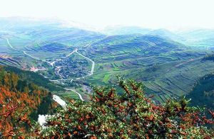 六盤山自然保護區 六盤山自然保護區