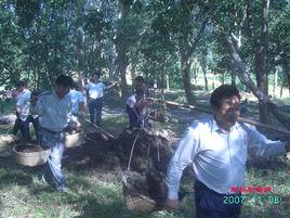 海南省國營南島農場 海南省國營南島農場