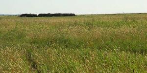 白城經濟開發區