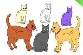 小貓填色 小貓填色