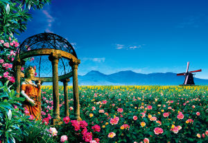 寶趣玫瑰園 寶趣玫瑰園