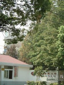 友誼路1000弄小區 友誼路1000弄小區