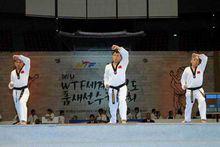 跆拳道品勢（WTF）