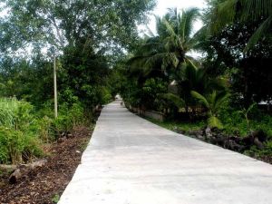 曼嶺村[雲南省西雙版納州景洪市勐罕鎮曼嶺村]