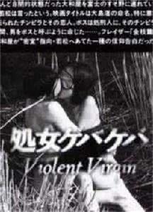 荒野浪妻 荒野浪妻