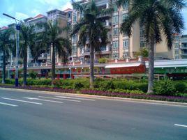 石崗東村 石崗東村