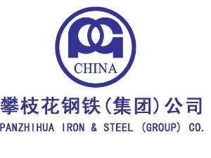 攀枝花鋼鐵集團有限公司 攀枝花鋼鐵集團有限公司