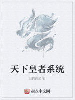 天下皇者系統 天下皇者系統